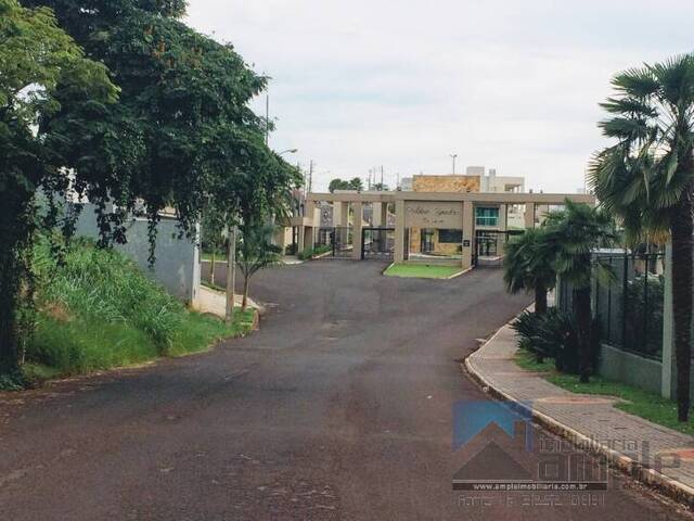 Área para Venda em Arapongas - 1