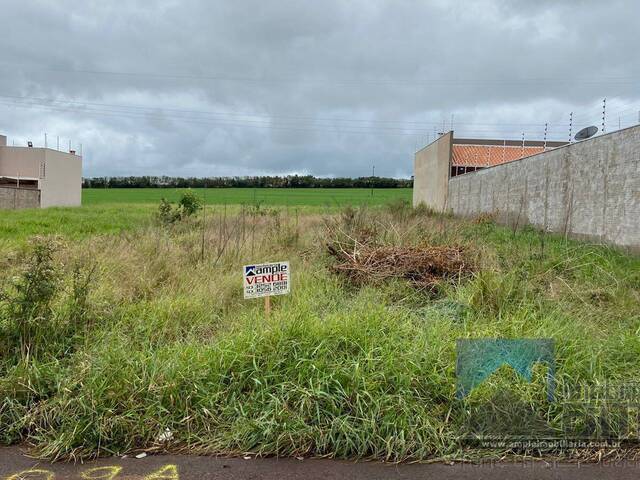 #3571 - Área para Venda em Arapongas - PR