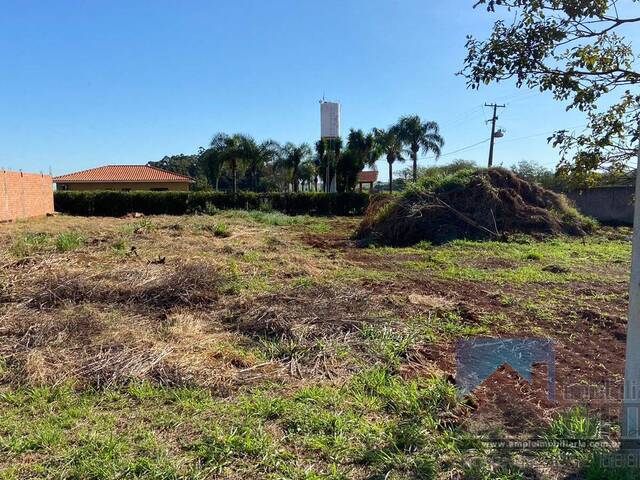 #3580 - Terreno para Venda em Arapongas - PR - 2