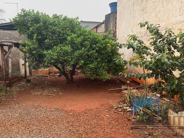 #3924 - Casa para Venda em Arapongas - PR - 3