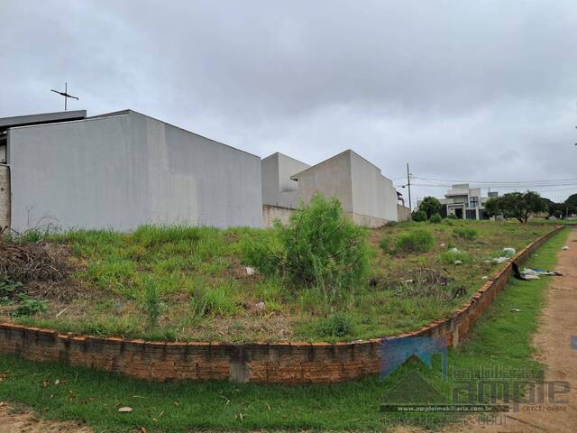Área para Venda em Arapongas - 5
