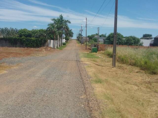 #3623 - Chácara para Venda em Arapongas - PR - 3