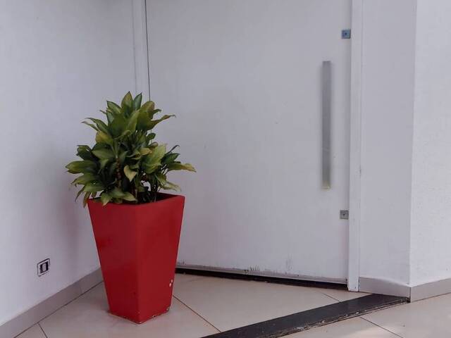 #4013 - Casa para Locação em Arapongas - PR - 3