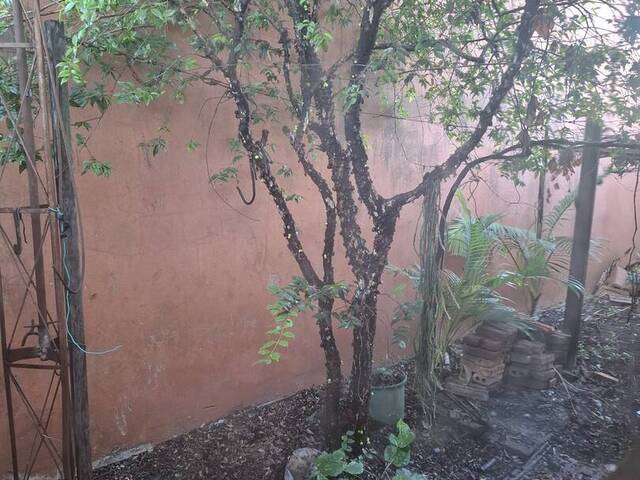 #3946 - Casa para Venda em Arapongas - PR