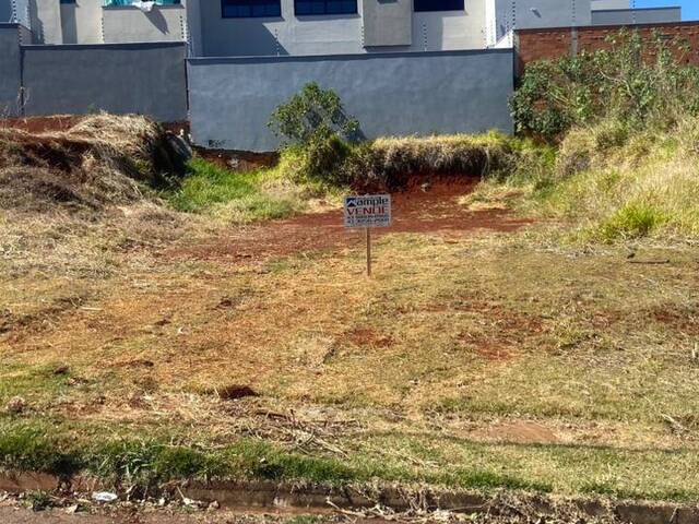 #4076 - Terreno para Venda em Arapongas - PR - 1