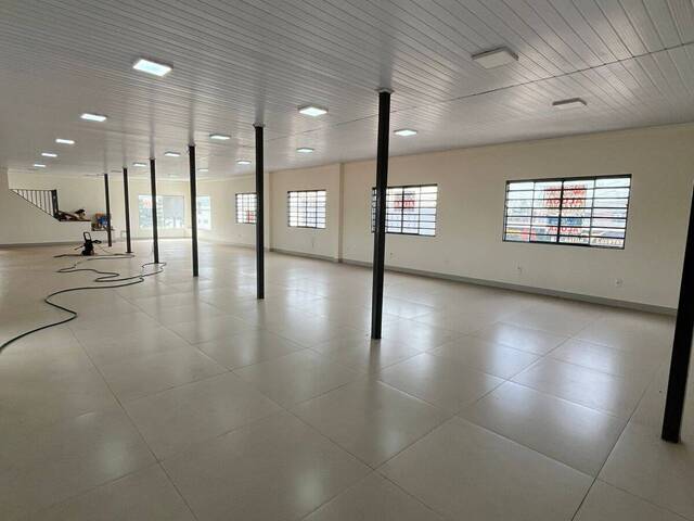 #4126 - Sala para Locação em Arapongas - PR - 3