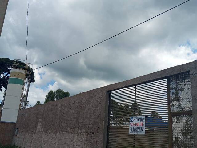 #4169 - Chácara para Venda em Arapongas - PR