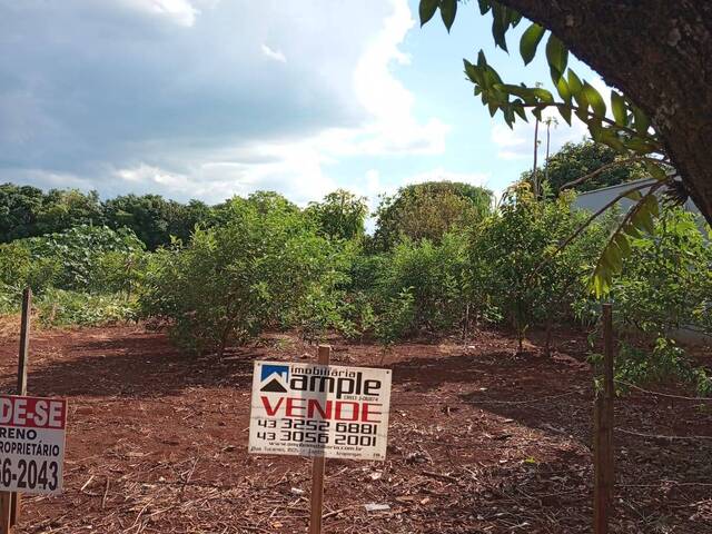 #4175 - Área para Venda em Arapongas - PR - 1