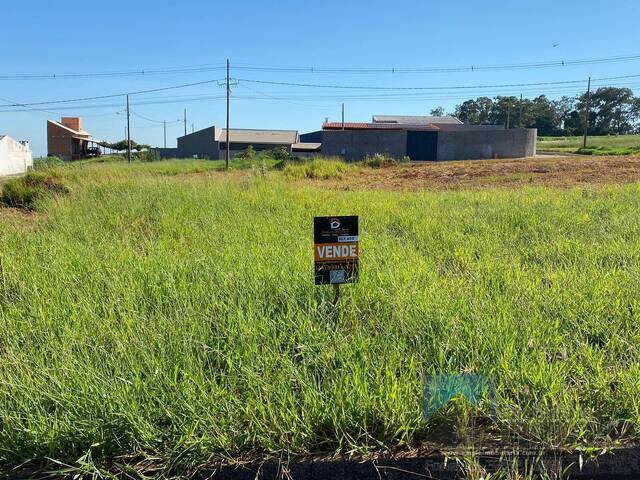 #4181 - Área para Venda em Sabáudia - PR