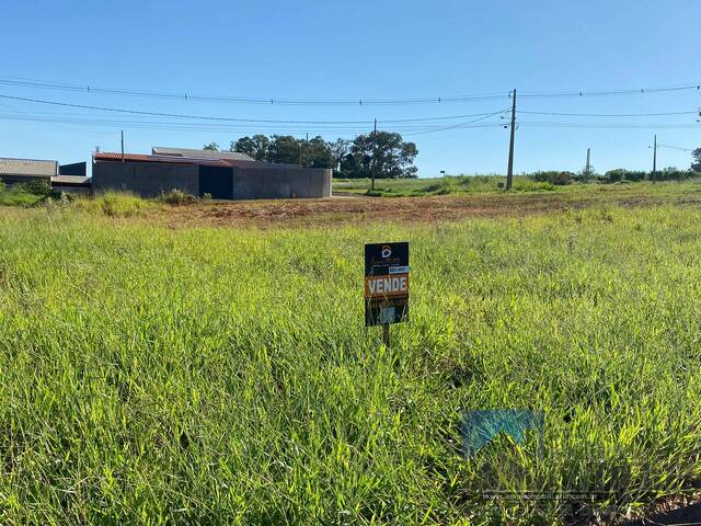 #4181 - Área para Venda em Sabáudia - PR