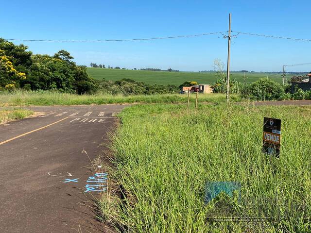 #4181 - Área para Venda em Sabáudia - PR