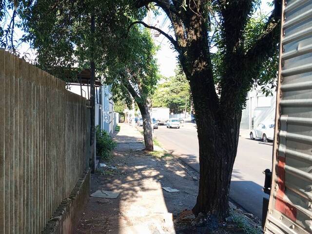 #4198 - Casa para Locação em Arapongas - PR - 3