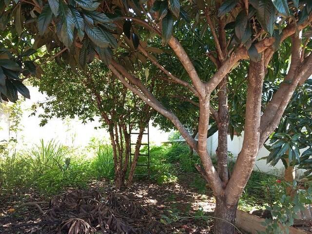 #4202 - Casa para Venda em Arapongas - PR - 2