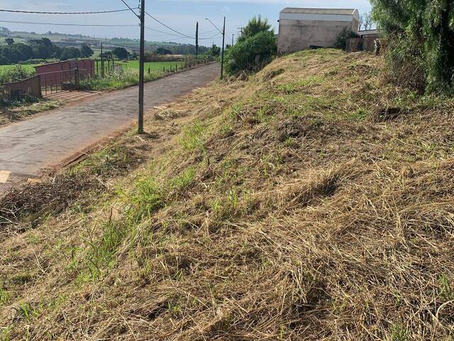 #4241 - Área para Venda em Arapongas - PR - 3