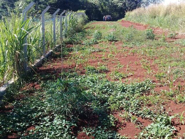 #4292 - Chácara para Venda em Arapongas - PR - 3