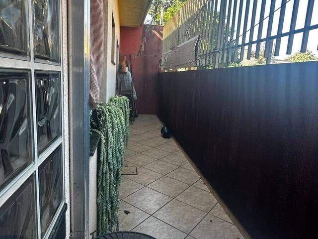 #4297 - Casa para Locação em Arapongas - PR - 3