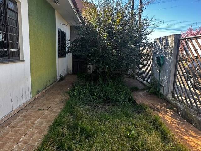 #4345 - Casa para Locação em Arapongas - PR - 3