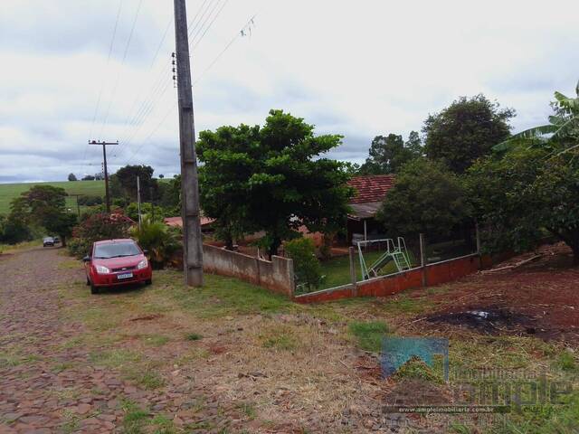  para  em  - 5