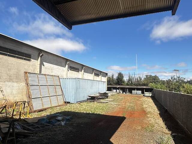 #4391 - Sala para Locação em Arapongas - PR - 2