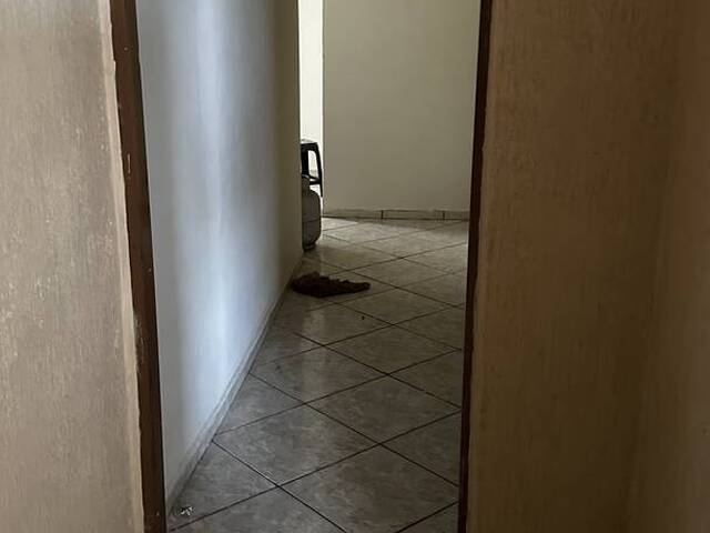 #4398 - Apartamento para Locação em Arapongas - PR - 3