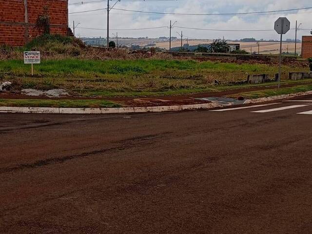 #4407 - Terreno para Venda em Arapongas - PR - 1