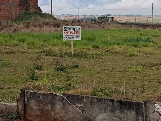 #4407 - Terreno para Venda em Arapongas - PR - 3