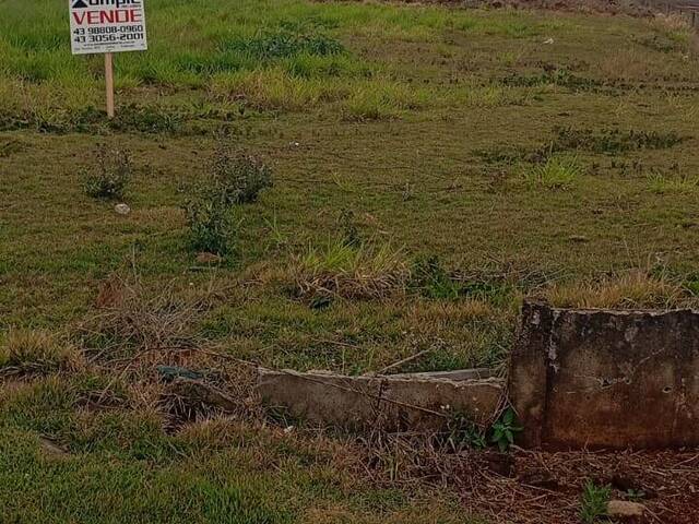 Terreno para Venda em Arapongas - 4