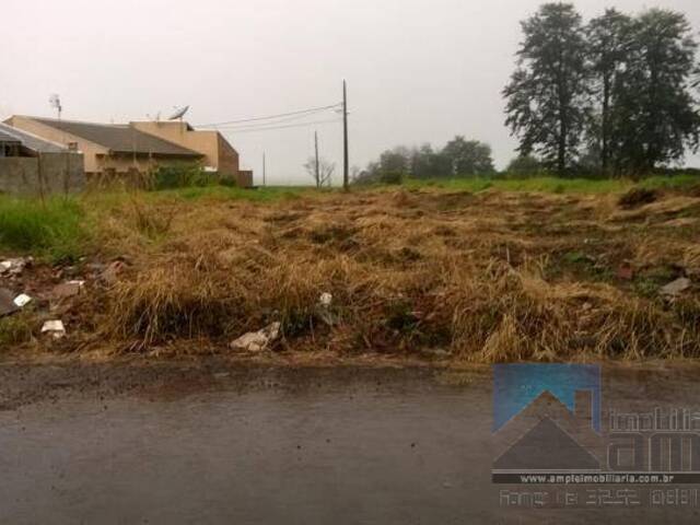 Terreno para Venda em Arapongas - 1